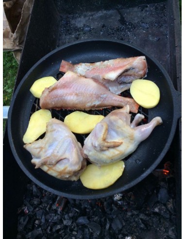 Сковорода ВЕСТА-TITANIUM Барбекю (Germany)