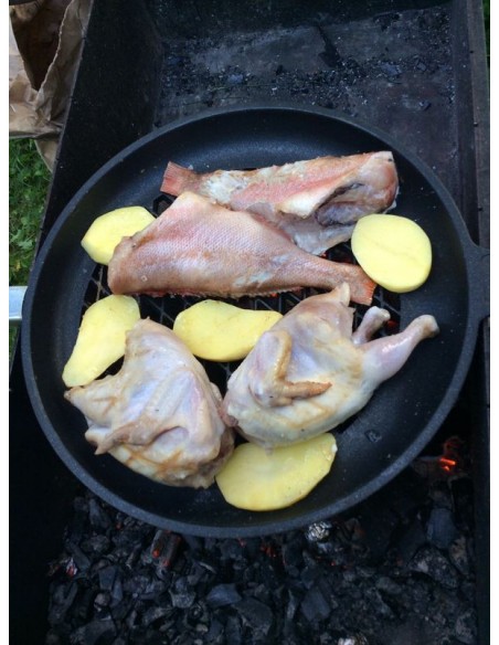 Сковорода ВЕСТА-TITANIUM Барбекю (Germany)