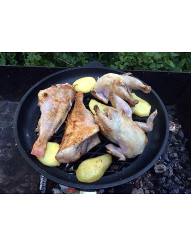 Сковорода ВЕСТА-TITANIUM Барбекю (Germany)