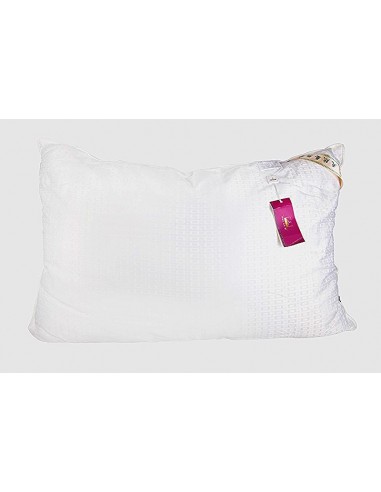 ПОДУШКА 50х70 см "ШЕЛК В ШЕЛКЕ"