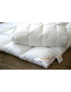 "ЛАНГУТ" коллекция 2