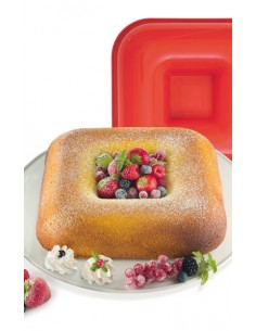 ФОРМА БОЛЬШАЯ ПРЯМОУГОЛЬНАЯ